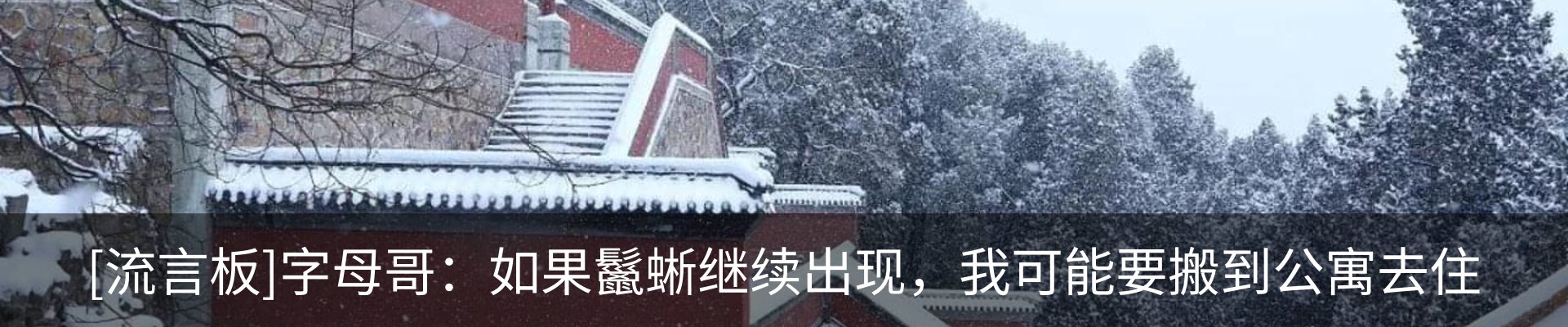 热点资讯